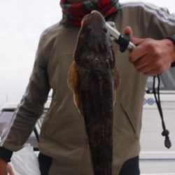 JDI Racing シールズマリンレジャー 釣果