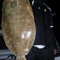 ＪＤＩ　Ｒａｃｉｎｇ　シールズマリンレジャー 釣果