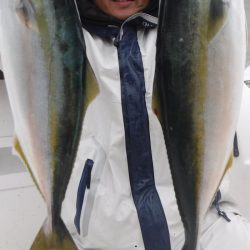 JDI Racing シールズマリンレジャー 釣果