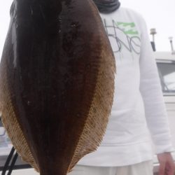 JDI Racing シールズマリンレジャー 釣果