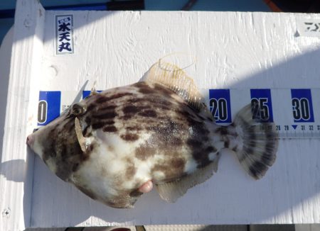 水天丸 釣果