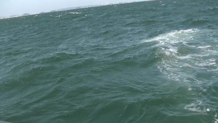 JDI Racing シールズマリンレジャー 釣果