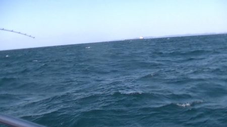 JDI Racing シールズマリンレジャー 釣果