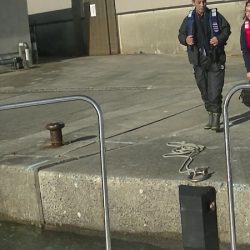 JDI Racing シールズマリンレジャー 釣果