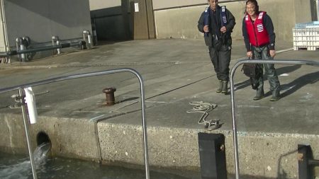 JDI Racing シールズマリンレジャー 釣果