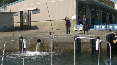 JDI Racing シールズマリンレジャー 釣果