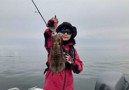 South Current 釣果