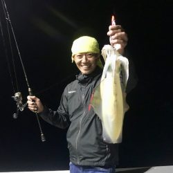 South Current 釣果