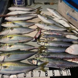 オーシャンスター(Ocean Star) 釣果