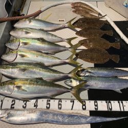 オーシャンスター(Ocean Star) 釣果