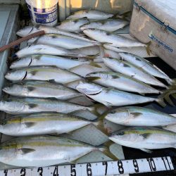 オーシャンスター(Ocean Star) 釣果