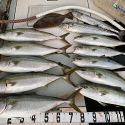 オーシャンスター(Ocean Star) 釣果