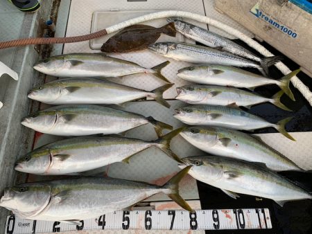 オーシャンスター(Ocean Star) …