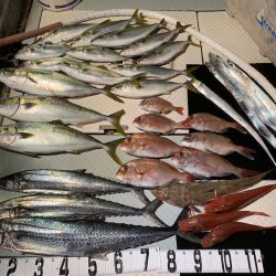 オーシャンスター(Ocean Star) 釣果