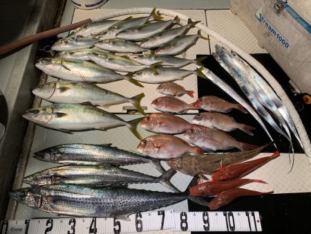 オーシャンスター(Ocean Star) …