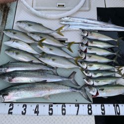 オーシャンスター(Ocean Star) 釣果