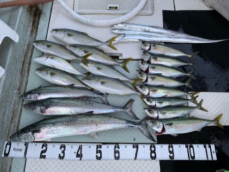 オーシャンスター(Ocean Star) …