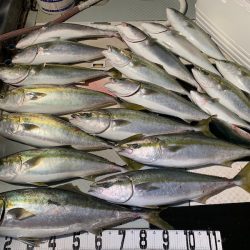 オーシャンスター(Ocean Star) 釣果