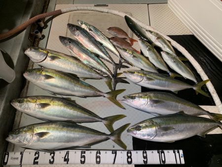 オーシャンスター(Ocean Star) …