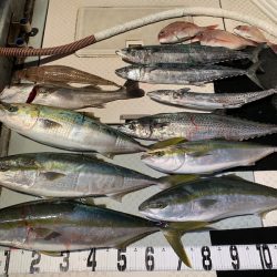 オーシャンスター(Ocean Star) 釣果