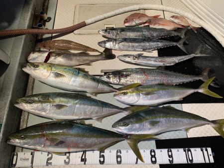 オーシャンスター(Ocean Star) …