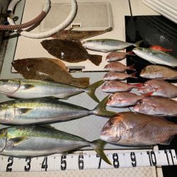 オーシャンスター(Ocean Star) 釣果