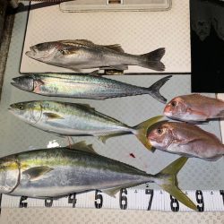 オーシャンスター(Ocean Star) 釣果