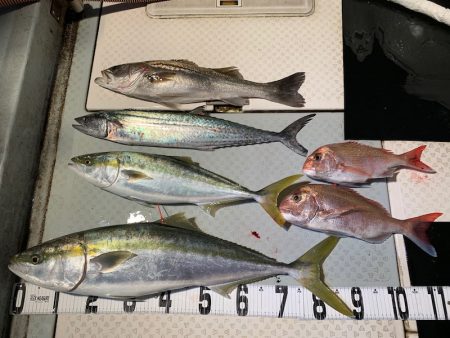 オーシャンスター(Ocean Star) …