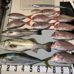 オーシャンスター(Ocean Star) 釣果