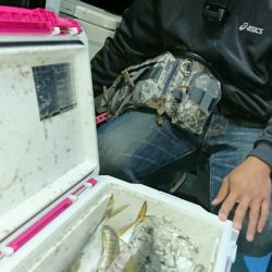 シースナイパー海龍 釣果