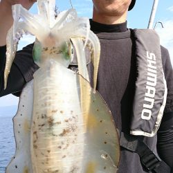 シースナイパー海龍 釣果