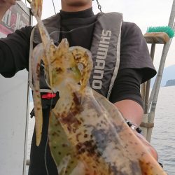 シースナイパー海龍 釣果