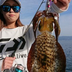 シースナイパー海龍 釣果