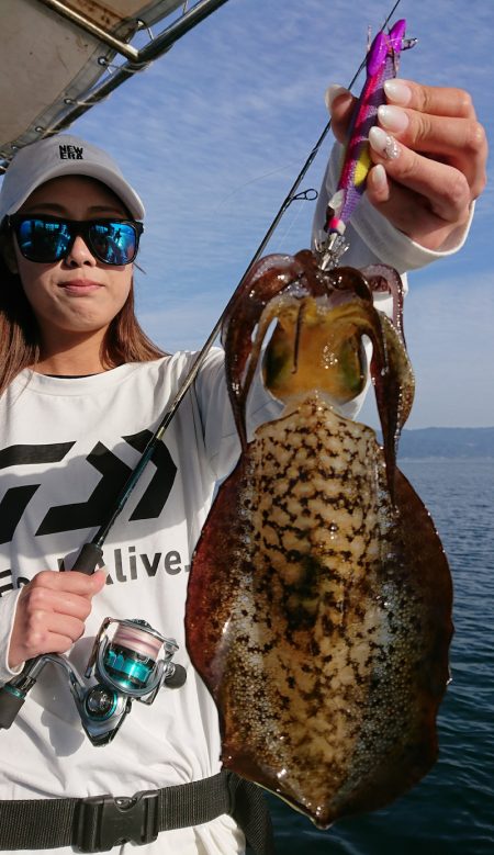 シースナイパー海龍 釣果