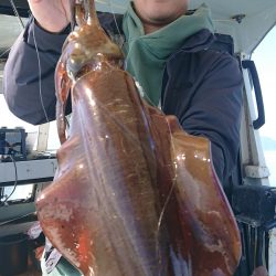 シースナイパー海龍 釣果