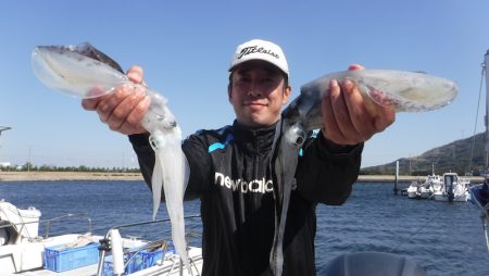 JDI Racing シールズマリンレジャー 釣果