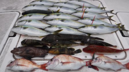 JDI Racing シールズマリンレジャー 釣果