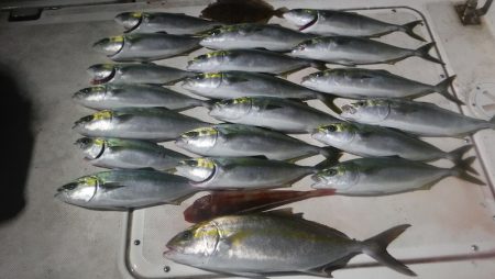 ＪＤＩ　Ｒａｃｉｎｇ　シールズマリンレジャ…