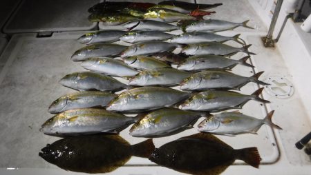 ＪＤＩ　Ｒａｃｉｎｇ　シールズマリンレジャ…