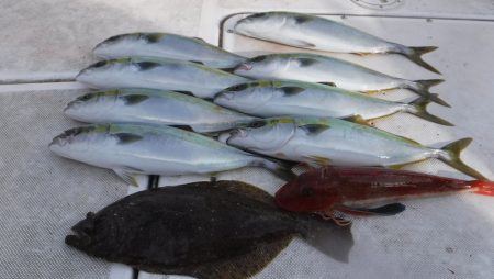 JDI Racing シールズマリンレジャー 釣果