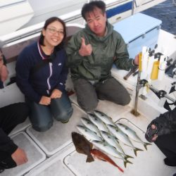 JDI Racing シールズマリンレジャー 釣果