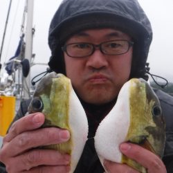 JDI Racing シールズマリンレジャー 釣果