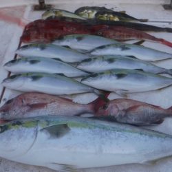 JDI Racing シールズマリンレジャー 釣果