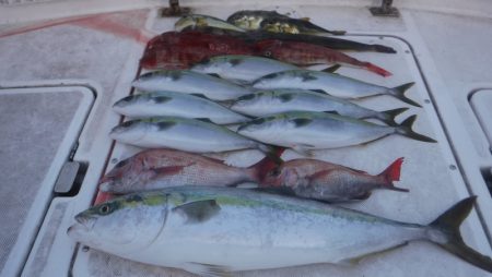 ＪＤＩ　Ｒａｃｉｎｇ　シールズマリンレジャ…