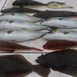 JDI Racing シールズマリンレジャー 釣果