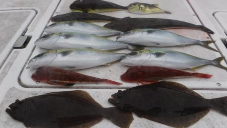 ＪＤＩ　Ｒａｃｉｎｇ　シールズマリンレジャ…