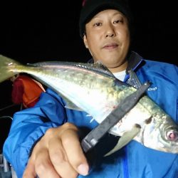 シースナイパー海龍 釣果