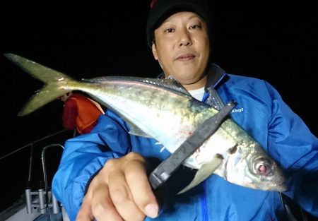 シースナイパー海龍 釣果