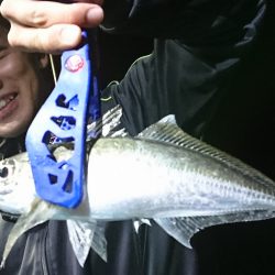 シースナイパー海龍 釣果