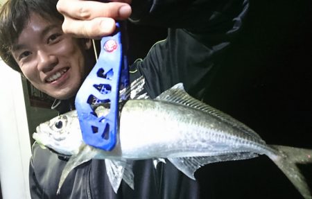 シースナイパー海龍 釣果